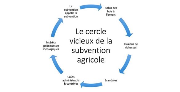 cercle.jpg