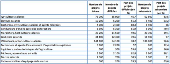 Projets de recrutement dans le secteur agriculture-marine-pêche en 2019 Projets de recrutement dans le secteur agriculture-marine-pêche en 2019
